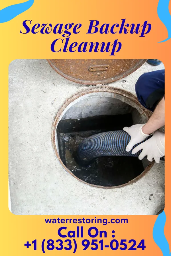 Sewage Backup Cleanup in Hudson Falls, NY