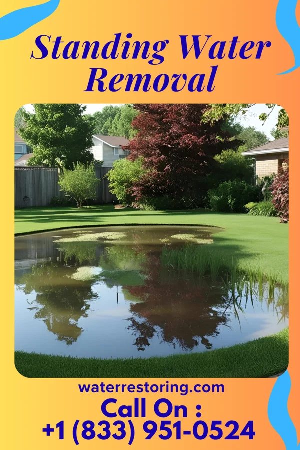 Standing Water Removal in Hudson Falls, NY
